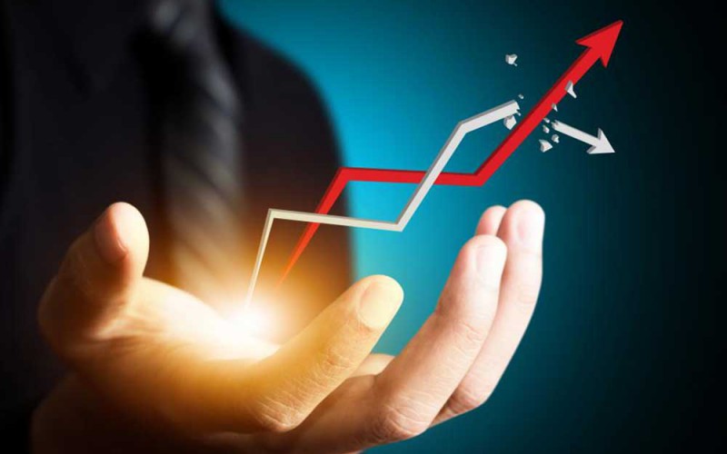 Business Setup & Consultancy